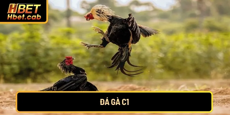 da-ga-c1
