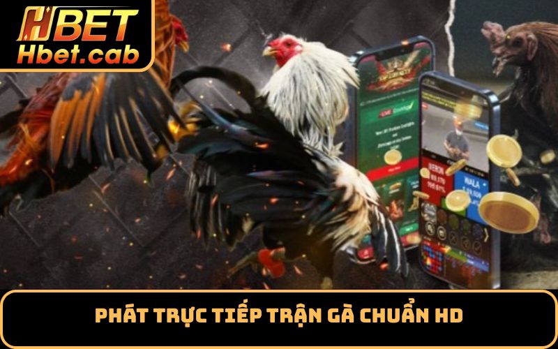 Phát trực tiếp trận gà chuẩn HD
