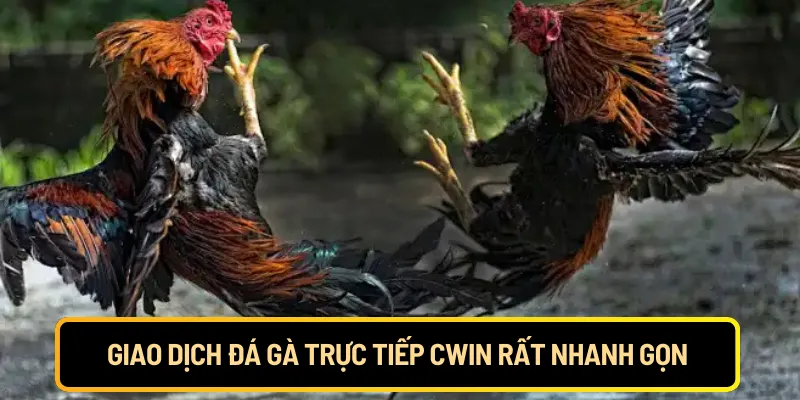 Giao dịch đá gà trực tiếp Cwin rất nhanh gọn
