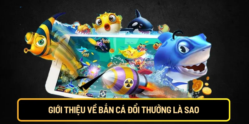 Giới thiệu về bắn cá đổi thưởng là sao