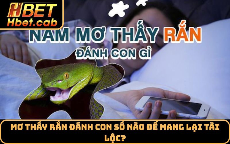 Mơ thấy rắn đánh con số nào để mang lại tài lộc?