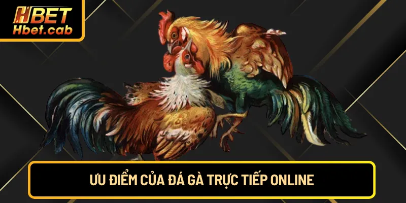 Ưu điểm của đá gà trực tuyến online